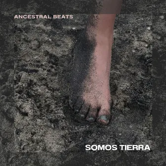 Somos Tierra by Ancestral Beats