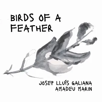 Birds of a feather by Josep Lluís Galiana