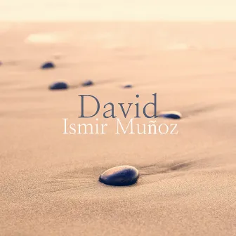 David (Live) by Ismir Muñoz