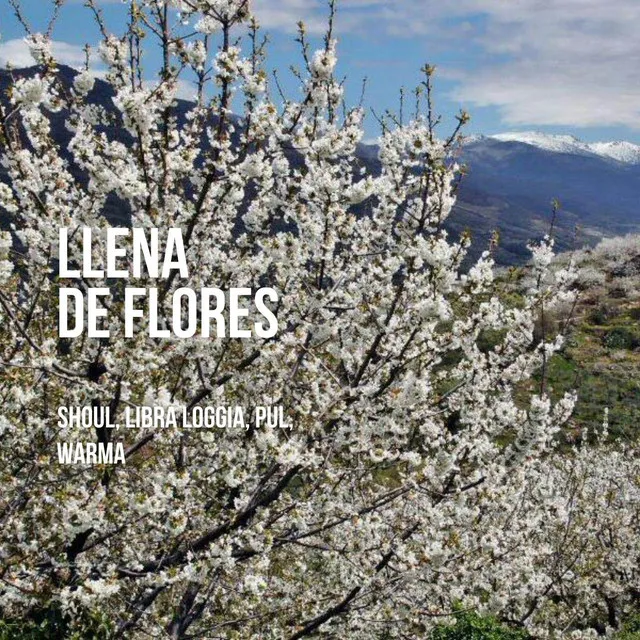 Llena de Flores