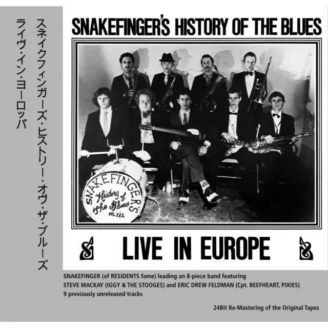 Snakefinger's History of the Blues