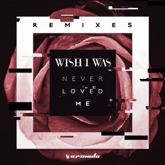 Never Loved Me (Remixes) by Wish I Was