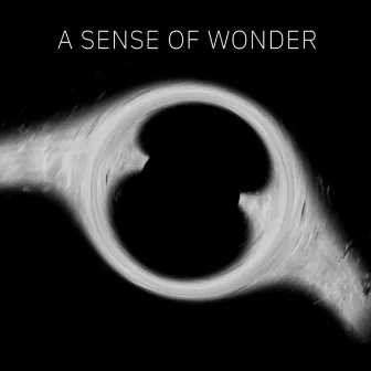 A Sense of Wonder by Mario Salvucci