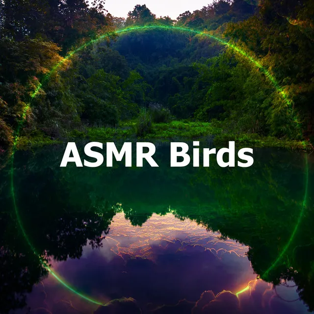 ASMR Birds