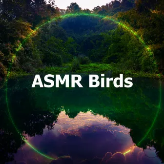 ASMR Birds by Birds In The Morning