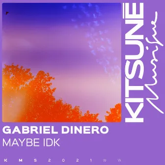 maybe idk by Gabriel Dinero