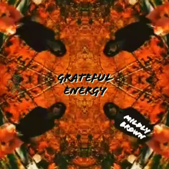 Grateful Energy by Mildly Brown