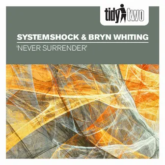 Never Surrender by System Shock