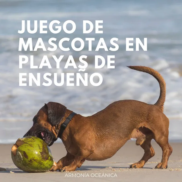 Océano De La Mascota Eterna