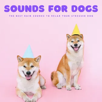 Sounds For Dogs: The Best Rain Sounds To Relax Your Stressed Dog by Dogs