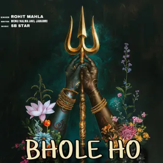 Bhole Ho by Rohit Mahla