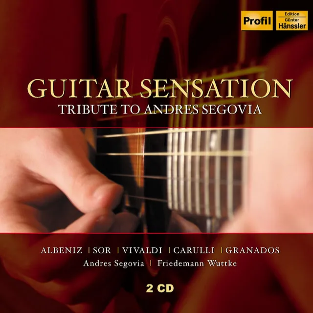 Guitar Concerto No. 1 in D Major, Op. 99: I. Allegretto