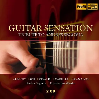 Guitar Sensation by Friedemann Wuttke