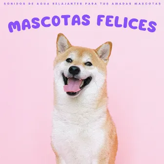 Mascotas Felices: Sonidos De Agua Relajantes Para Tus Amadas Mascotas by Tranquilizante para Perros