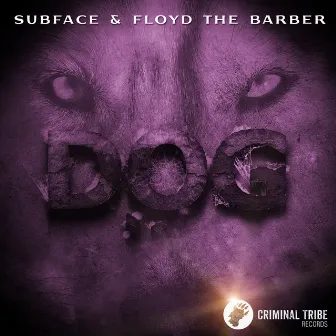 Dog by Floyd The Barber