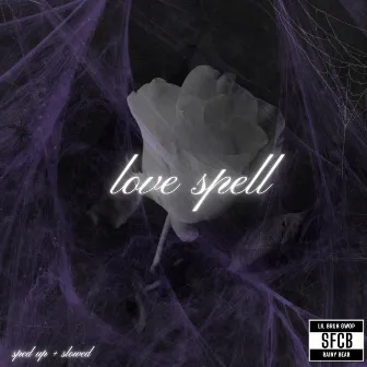 Love Spell (Remixes) by rainy bear