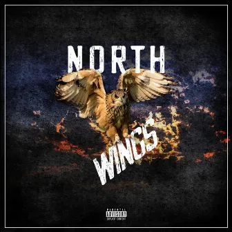 North Wings by W Mc