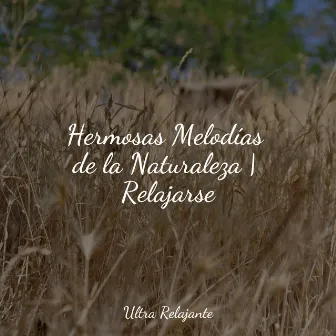 Hermosas Melodías de la Naturaleza | Relajarse by Música relajante con sonidos de la naturaleza