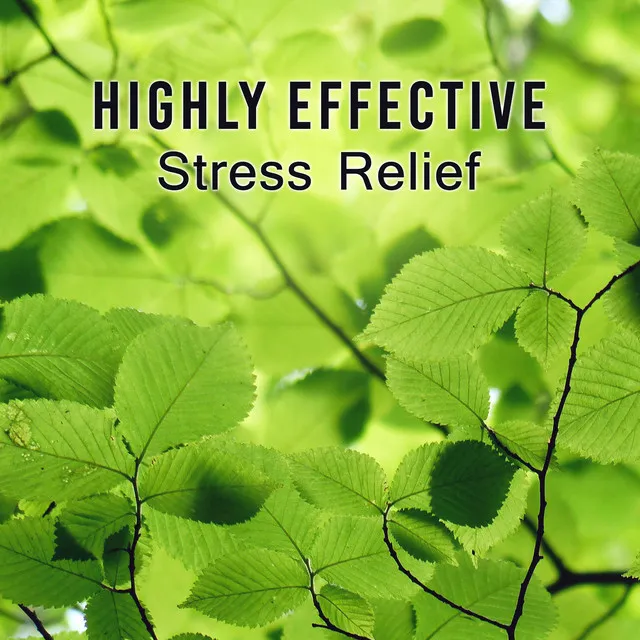 Highly Effective Stress Relief (Meditate to Help Ease Anxiety, Outdoor Sounds to Breathe Deeply, Tune In to Your Body, New Age Music)