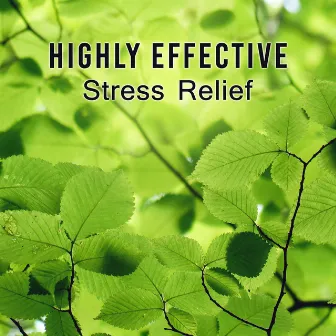 Highly Effective Stress Relief (Meditate to Help Ease Anxiety, Outdoor Sounds to Breathe Deeply, Tune In to Your Body, New Age Music) by Natural Therapy Music Academy