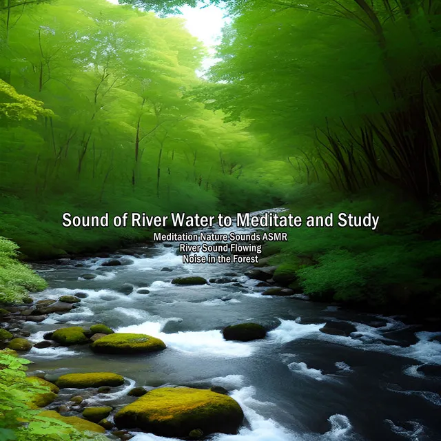 Sound of River Water to Meditate and Study, Pt. 21