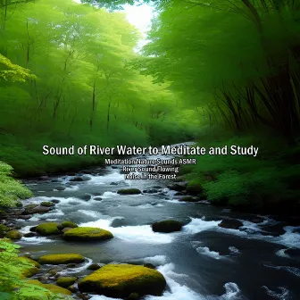 Sound of River Water to Meditate and Study by Noise in the Forest