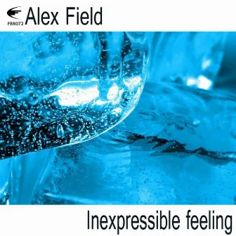 Inexpressible Feeling by Alex Field