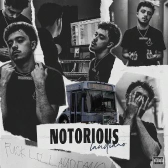 Notorious by Laudiano