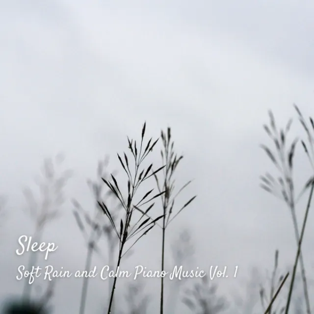 Sleep: Soft Rain and Calm Piano Music Vol. 1