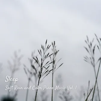 Sleep: Soft Rain and Calm Piano Music Vol. 1 by Music for Sleeping