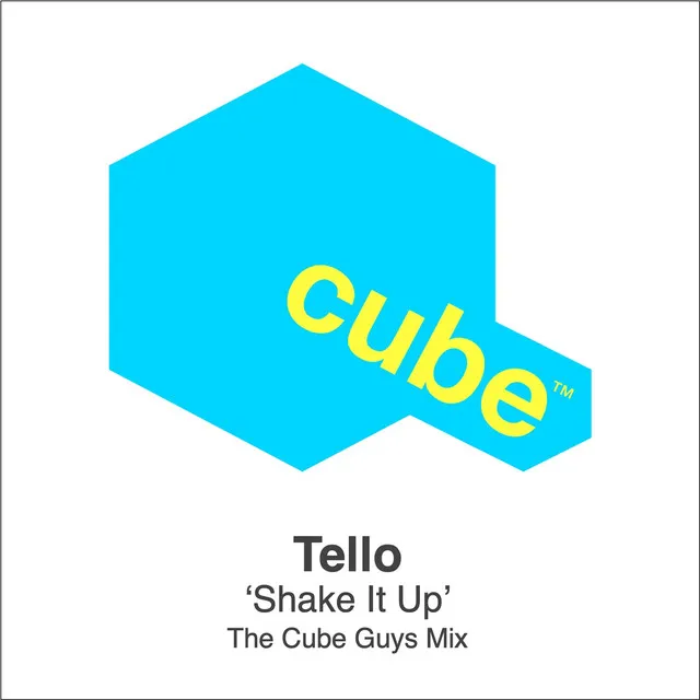 Shake It Up - The Cube Guys Mix