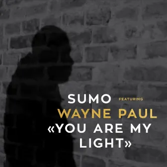 You Are My Light by SUMO