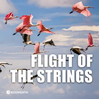 Flight Of The Strings by James Nathan Jeremy Jones