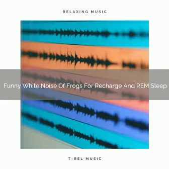 Funny White Noise Of Frogs For Recharge And REM Sleep by 