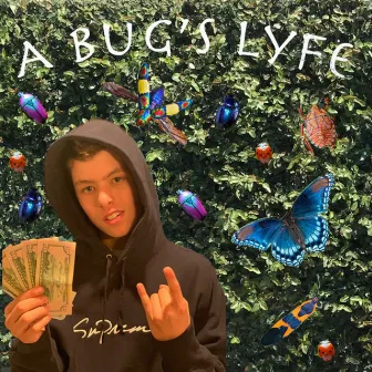 A Bug's Lyfe by Lil Bug