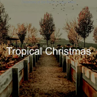 Christmas at the Beach (Jingle Bells) by Tropical Christmas