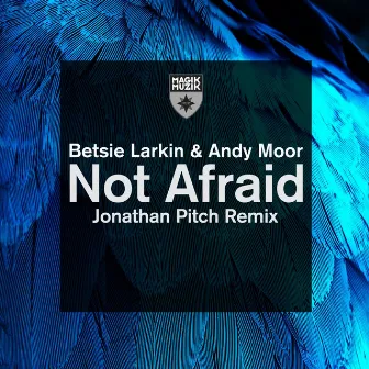 Not Afraid by Jonathan Pitch