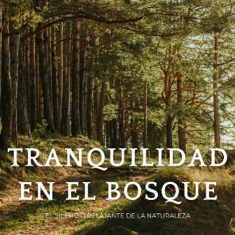 Tranquilidad En El Bosque: El Silencio Relajante De La Naturaleza by Mentes Zen