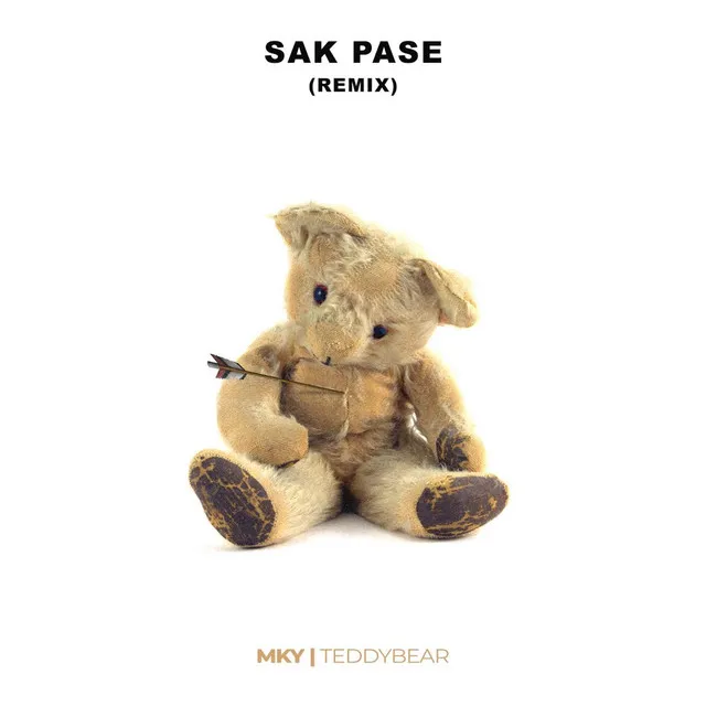 Teddy Bear (feat. SAK PASE) - Remix