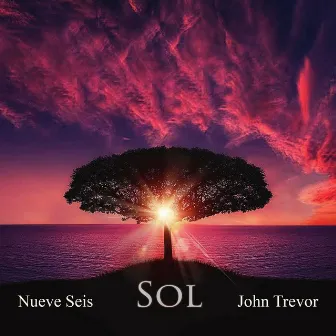 Sol by Nueve Seis