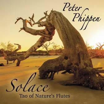 Solace Tao of Nature's Flutes by Peter Phippen