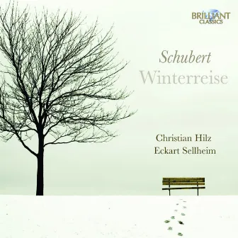 Schubert: Winterreise, D. 911 by Eckart Sellheim