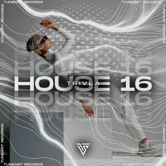 House 16 by TRIVEA