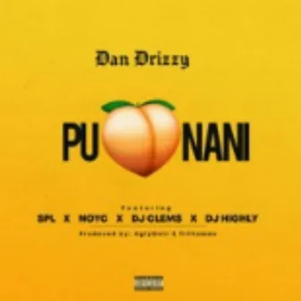 Punani pt 2 by Dan Drizzy