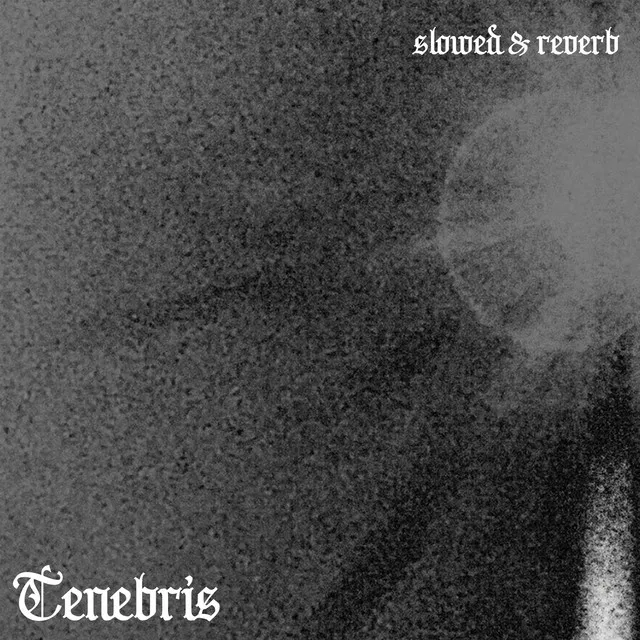 Tenebris - slowed & reverb