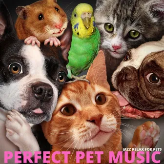 Jazz Relax for Pets by Perfect Pet Music