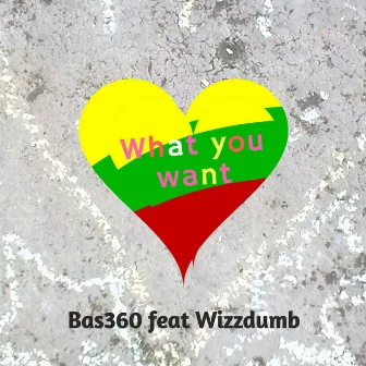 What You Want by Bas360