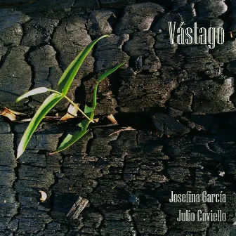 Vástago by Julio Coviello