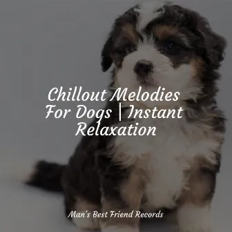 Chillout Melodies For Dogs | Instant Relaxation by Music for Dog's Ear