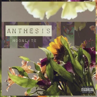 Anthesis by Moonlite